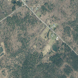 Patria New York High Resolution Satellite Map