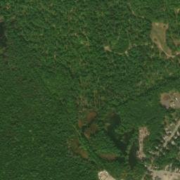 South Ashburnham map(satellite map)