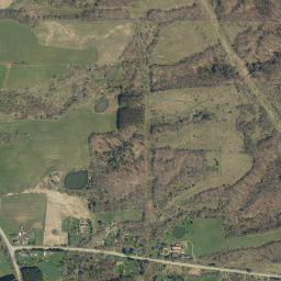 Fowlerville New York High Resolution Satellite Map