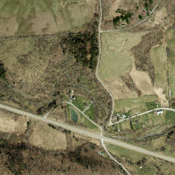 Kirk New York High Resolution Satellite Map