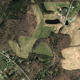 Luther New York High Resolution Satellite Map