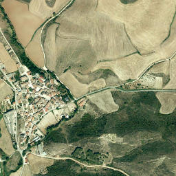Espronceda map(satellite map)