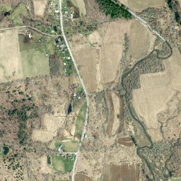 Stetsonville New York High Resolution Satellite Map