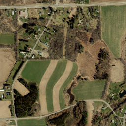 Nubia New York High Resolution Satellite Map