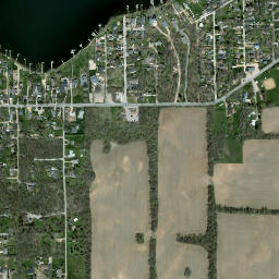 Delavan Lake map(satellite map)