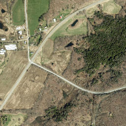 Pharsalia New York High Resolution Satellite Map