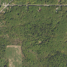 Shirley New York High Resolution Satellite Map