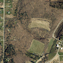 East Arcade New York High Resolution Satellite Map