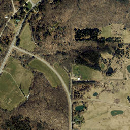 Bliss New York High Resolution Satellite Map