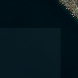 Lansing Station New York High Resolution Satellite Map