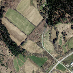 Davis Crossing New York High Resolution Satellite Map