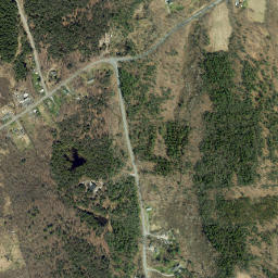 Reidsville New York High Resolution Satellite Map