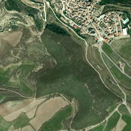 Bargota map(satellite map)