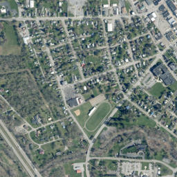 Dansville map(satellite map)