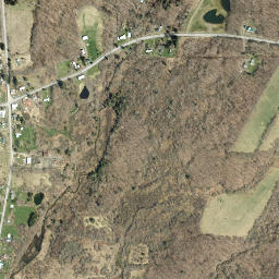 East Pharsalia New York High Resolution Satellite Map