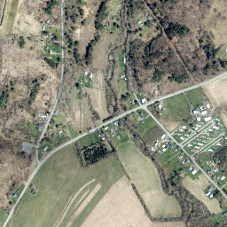 Elm Grove New York High Resolution Satellite Map