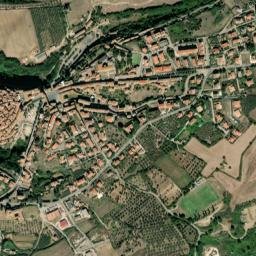 Farnese map(satellite map)