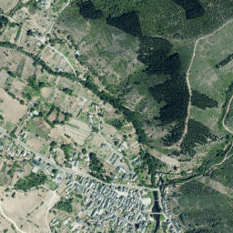 Molinaseca map(satellite map)