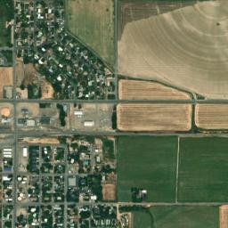 Hansen map(satellite map)