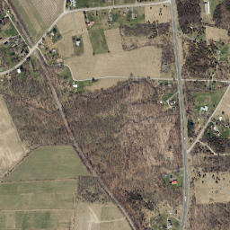 Starkey New York High Resolution Satellite Map