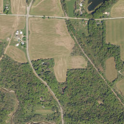 Taylor Hollow New York High Resolution Satellite Map