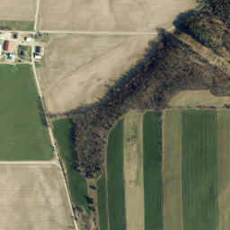 Rogersville New York High Resolution Satellite Map