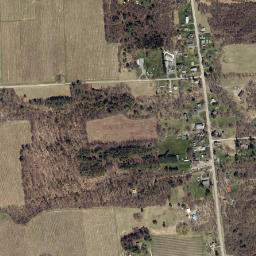 Lakemont New York High Resolution Satellite Map