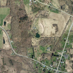 Holmesville New York High Resolution Satellite Map