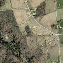 Preston Center New York High Resolution Satellite Map