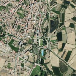 Benavides map(satellite map)