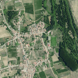 Vega de Infanzones map(satellite map)