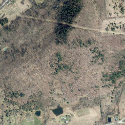 Toll Corner New York High Resolution Satellite Map