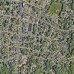 Stoneham map(satellite map)