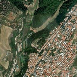 Canino map(satellite map)
