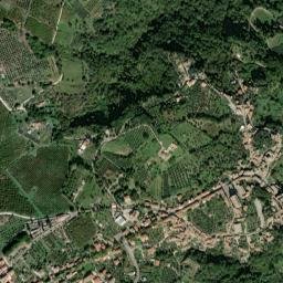 Bassano in Teverina map(satellite map)