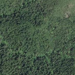 Curry County map(satellite map)