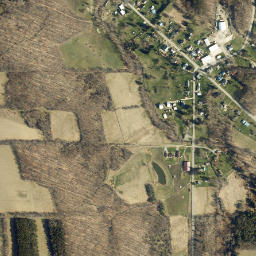 South Dansville New York High Resolution Satellite Map