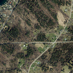 Grove Springs New York High Resolution Satellite Map