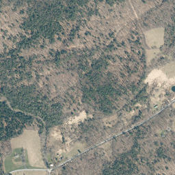 Owlsville New York High Resolution Satellite Map