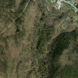 Coeymans Hollow New York High Resolution Satellite Map