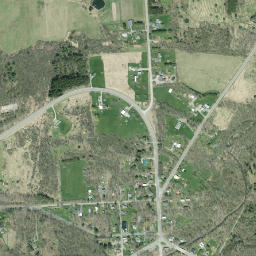 Mecklenburg New York High Resolution Satellite Map