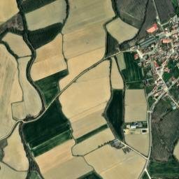 Renedo de la Vega map(satellite map)