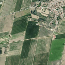 Campo de Villavidel map(satellite map)