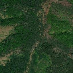 Radovnica map(satellite map)
