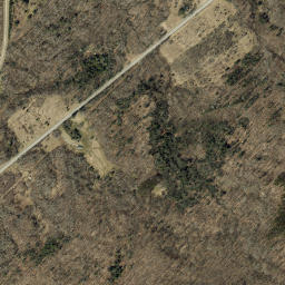 Grove New York High Resolution Satellite Map