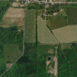 Altay New York High Resolution Satellite Map