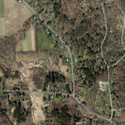 Ellis New York High Resolution Satellite Map