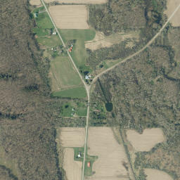 Wango New York High Resolution Satellite Map