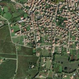 Vasanello map(satellite map)