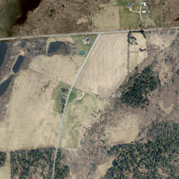 Penelope New York High Resolution Satellite Map